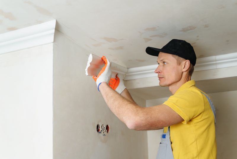 Ceiling Trim Repair